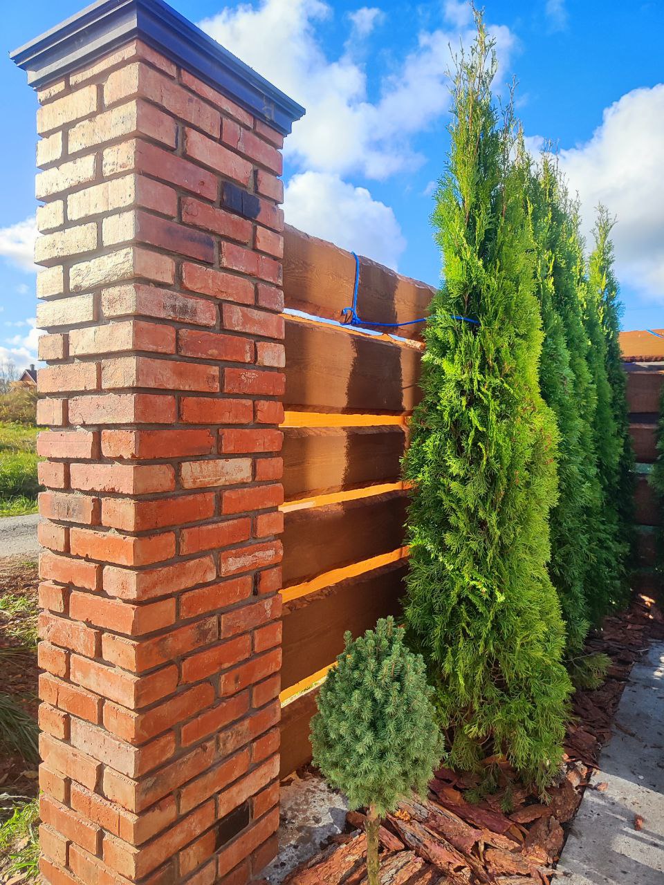 Озеленение участка 400 кв.м.